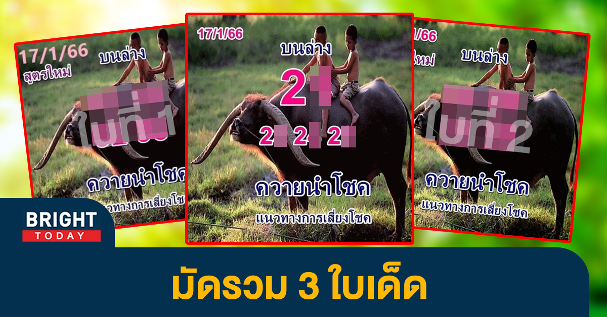 จับรวม 3 ใบเด่น หวยควายนำโชค 17 1 66 เลขเด็ด หวยงวดนี้ ลุ้นรวยหวยวันครู