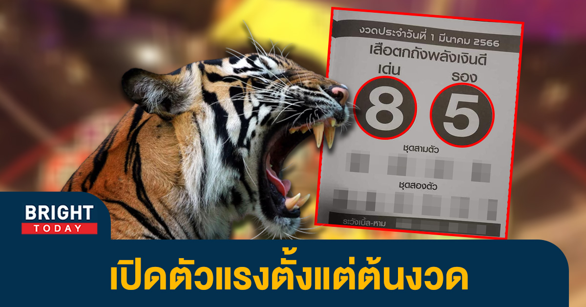 เลขเด็ด หวยไทย เสือตกถังพลังเงินดี งวด 1 3 66 หวยออกวันพุธ