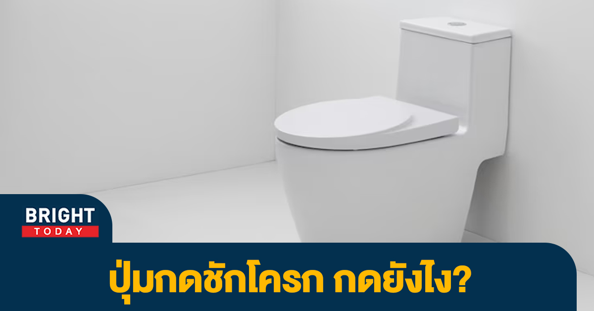 รู้หมือไร่! ไลฟ์แฮ็ก101 ปุ่มบนชักโครกต้องกดยังไง? ให้ถูกวิธี