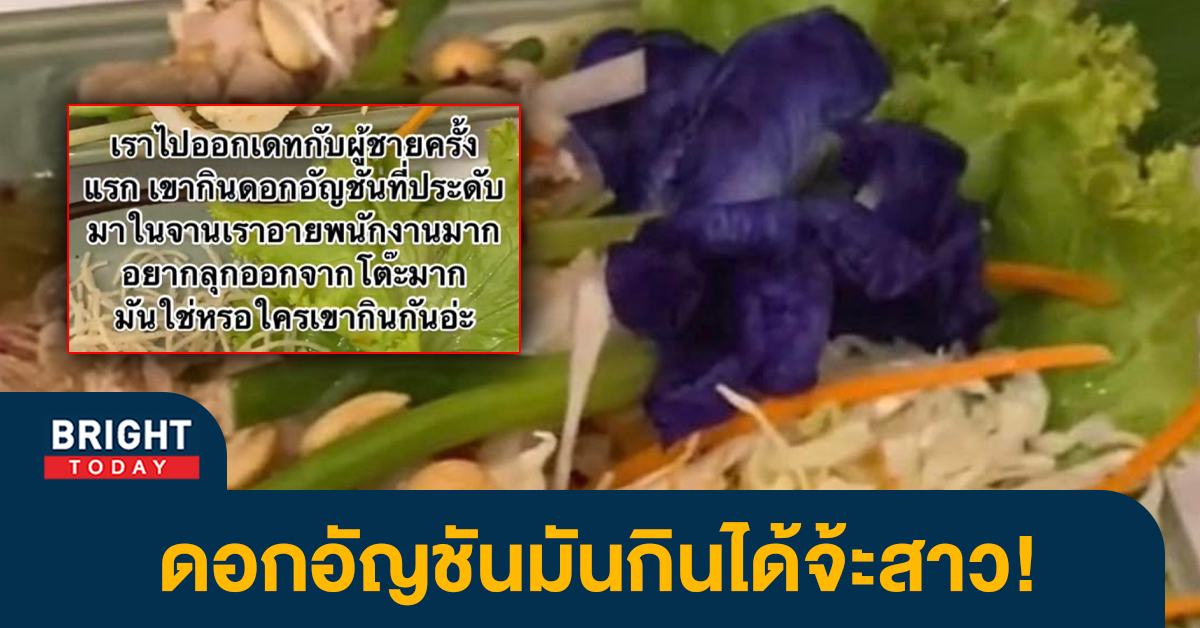 หน้าปกไบรท์-ดอกอัญชัน