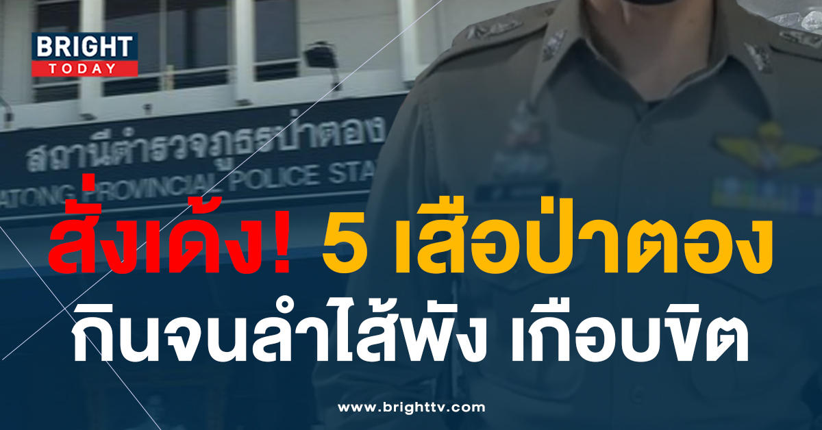 หน้าปกไบรท์-5-เสือป่าตอง