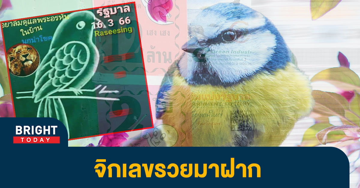 เลขเด็ด นกนำโชค หวยงวดนี้ 16 มี.ค.66 จดด่วนเลขเน้นสามตัวตรง