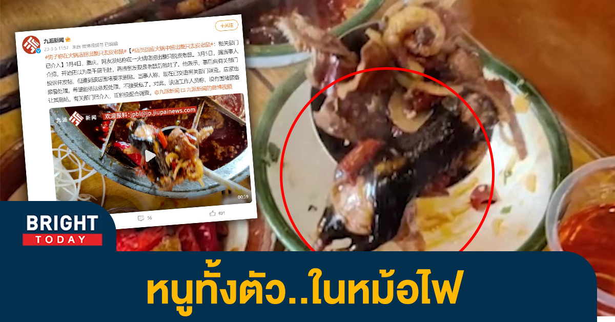 อวสานมื้ออาหาร! ลูกค้าเจอ “หนูทั้งตัว” ในหม้อไฟ ร้านโบ้ยลูกค้าเป็นคนทำ