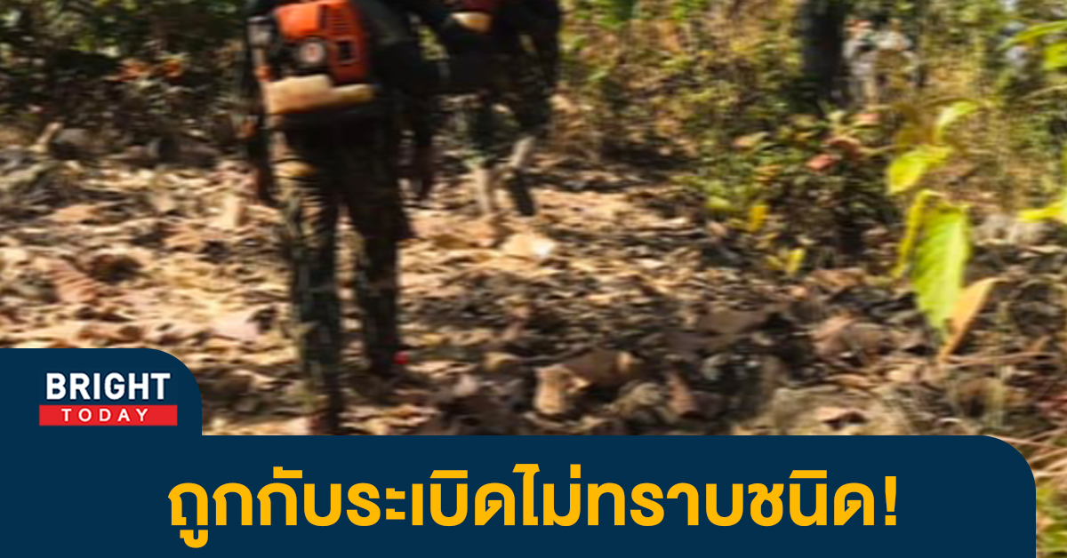 2 จนท.พิทักษ์ป่าอุทยานแห่งชาติผาแดง ถูกกับระเบิดไม่ทราบชนิด เจ็บสาหัส