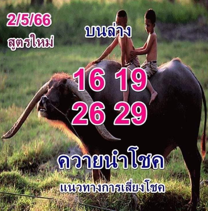 ควายนำโชค-หวยงวดนี้-2-5-66