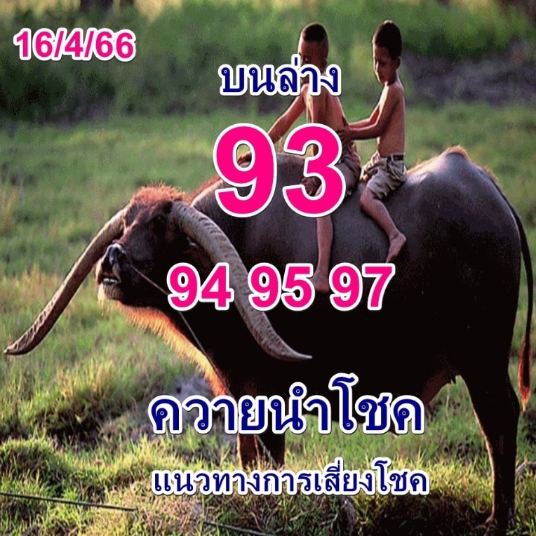 ควายนำโชค-16-4-66