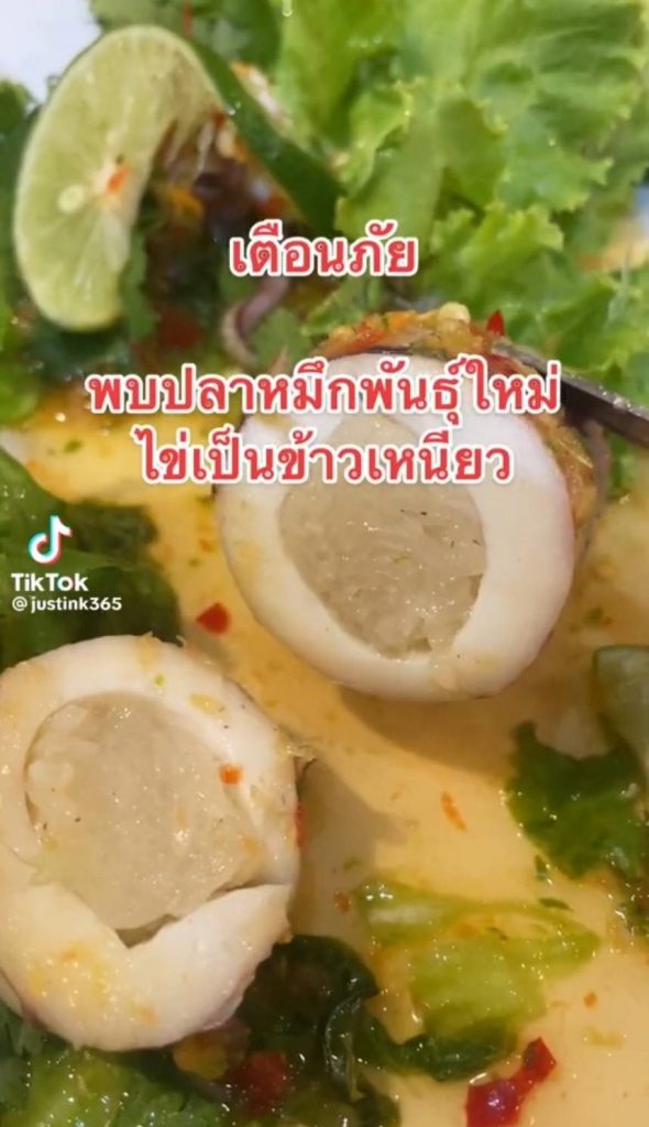 หมึกมะนาว-3