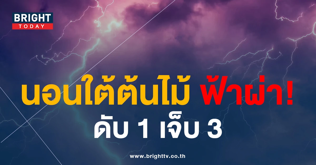 คนขับรถตู้ จ.ระยอง ถูกเปลนอนใต้ต้นไม้ ฝนตกพรำๆ ก่อน “ฟ้าผ่า” ดับ1เจ็บ3