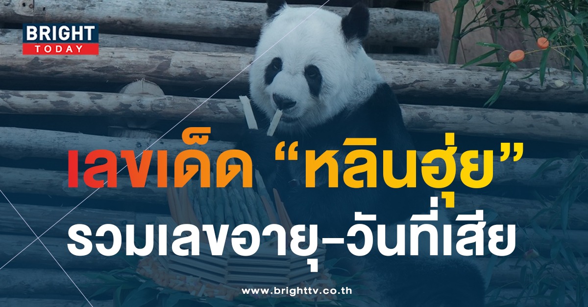 จับตาเลขเด็ด “หลินฮุ่ย” แพนด้าดาวเด่นประจำเชียงใหม่ หวังเป็นเลขนำโชคงวดนี้ 2 5 66