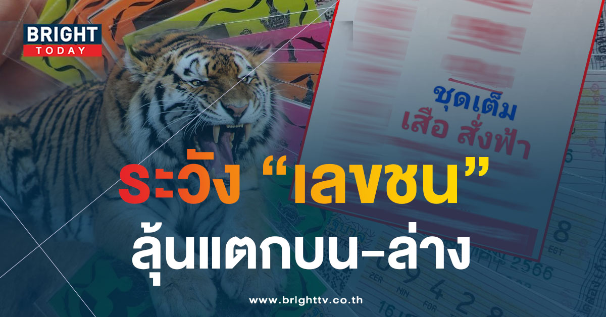 แจกรัวๆชุดใหญ่ เลขเด็ด เสือสั่งฟ้า หวยงวดนี้ 16 เม.ย.66 จับตาเลขชนอย่ากระพริบตา