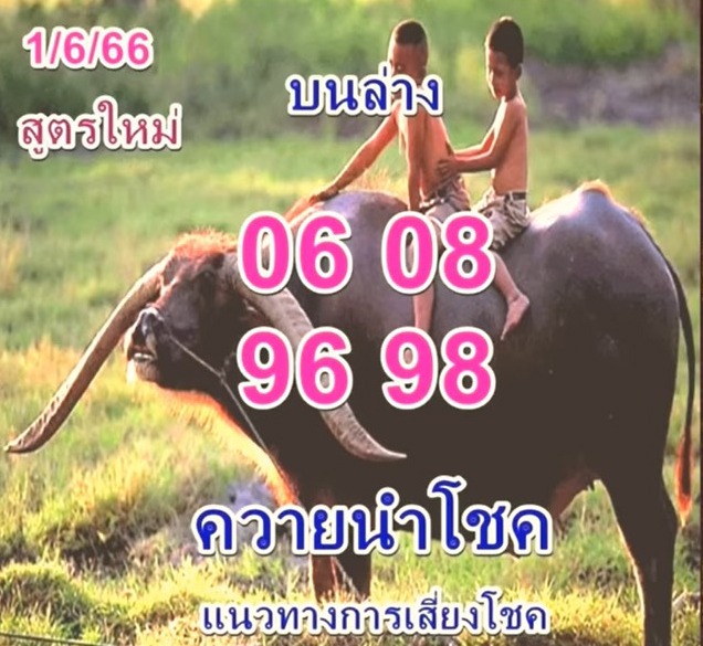 -หวยควายนำโชค-1-6-66