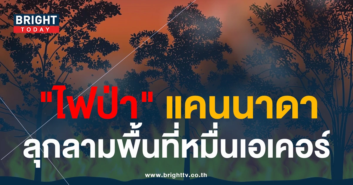 “ไฟป่า” แคนาดา ลุกลาม! อพยพปชช.กว่า13,000คน เผาพื้นที่กว่า11,000เอเคอร์