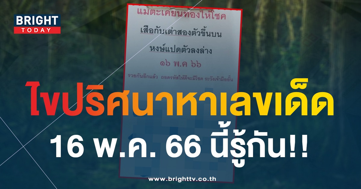 หวยใบมาแรง เลขเด็ด แม่ตะเคียนทองให้โชค 16 5 66 แจกรหัสเศรษฐี หวยงวดนี้