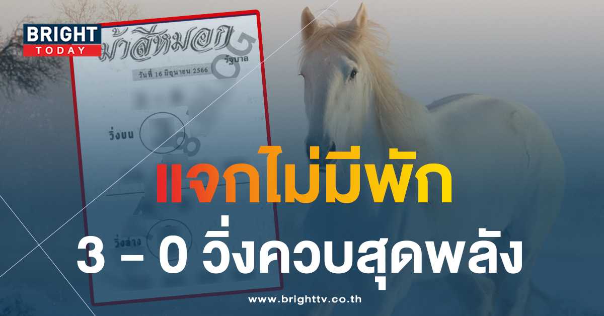 เลขเด็ด หวยม้าสีหมอก 16 6 66 หวยรัฐบาลไทย 3 - 0 เด่นขั้นสุด