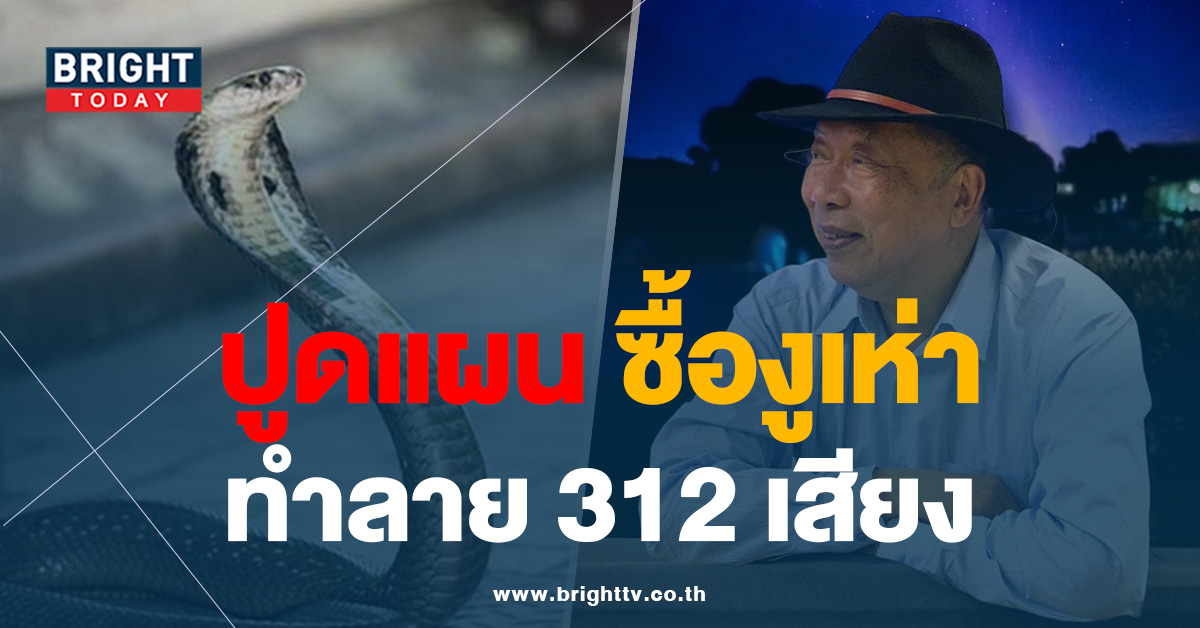 “ไพศาล” ปูด แผน ‘รัฐบาลงูเห่า’ ล้ม 312 เสียง ซื้อขั้ว 8 พรรคร่วมรัฐบาล