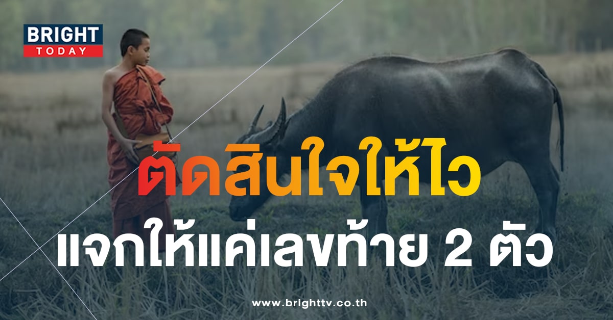 เลขเด็ดงวดนี้ 16 8 66 หวยควายนำโชค แจกเลขเด่น 0 - 8 อัดให้หนัก