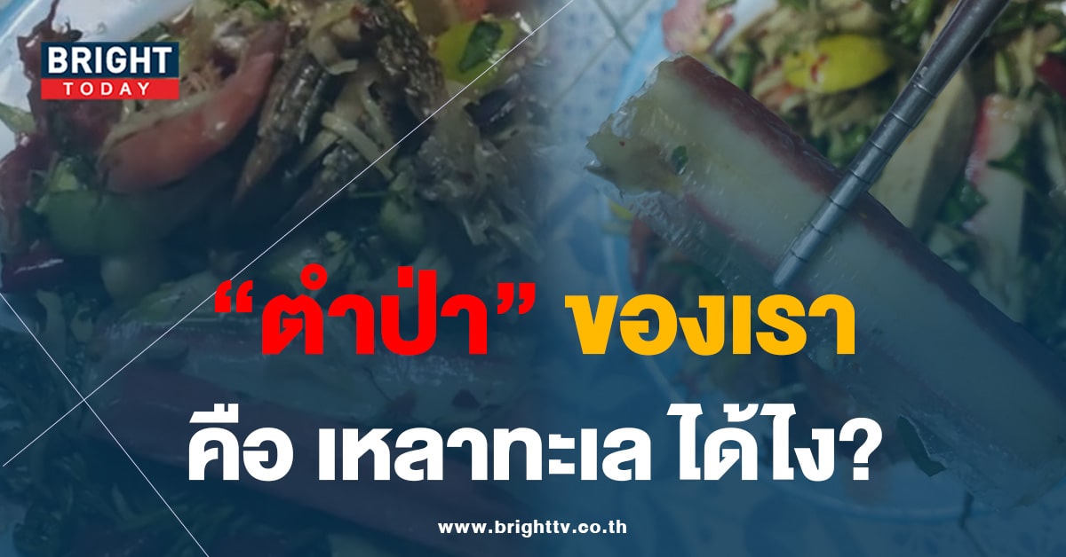 แชร์ประสบการณ์ ‘ตำป่า’ เจ้าของร้านบอก ที่นี่เรียก เหลาทะเล!