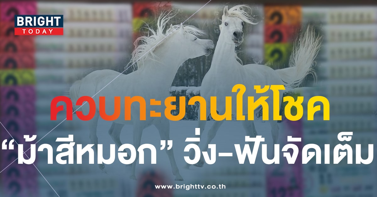 เลขเด็ดงวดนี้ 1 ต.ค.66 หวยม้าสีหมอกจัดเต็มเลขวิ่งบน - ล่าง