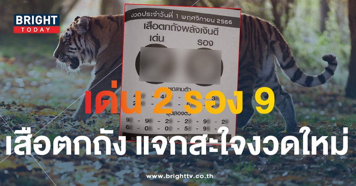 แจกสะใจคอหวย 2 - 9 เลขเด็ดงวดนี้ เสือตกถังพลังเงินดี งวด 1 พ.ย.66