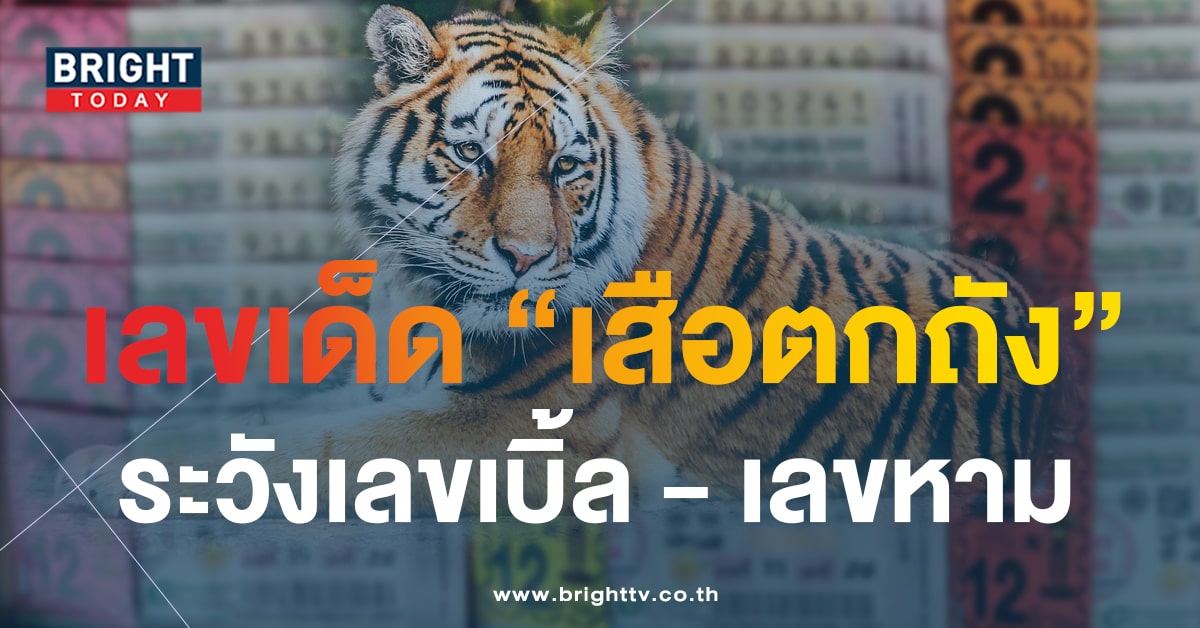 เสือตกถังพลังเงินดี 16 10 66 แจกไม่ยั้งแนวทางรวย 6 - 3 เลขเด็ดงวดนี้