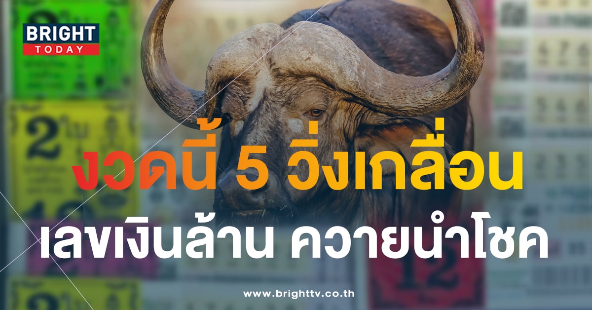 ส่องแนวทางรวย เลขเด็ด ควายนำโชค 16 11 66 จับตา 5 เด่นวิ่งเกลื่อน