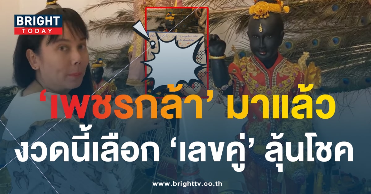 เพชรกล้า เลือกปิงปองเลขเด็ด 16 11 66 ได้ เลขคู่ นำโชคงวดนี้