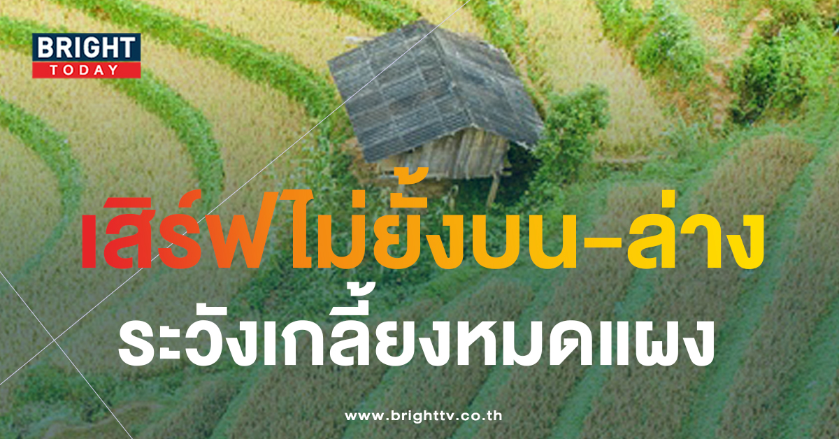 ส่องแนวทางรวย หวยต้อยบ้านนา 1 12 66 เลขเด็ด สนั่นแผง 2 ตัว 3 ตัว