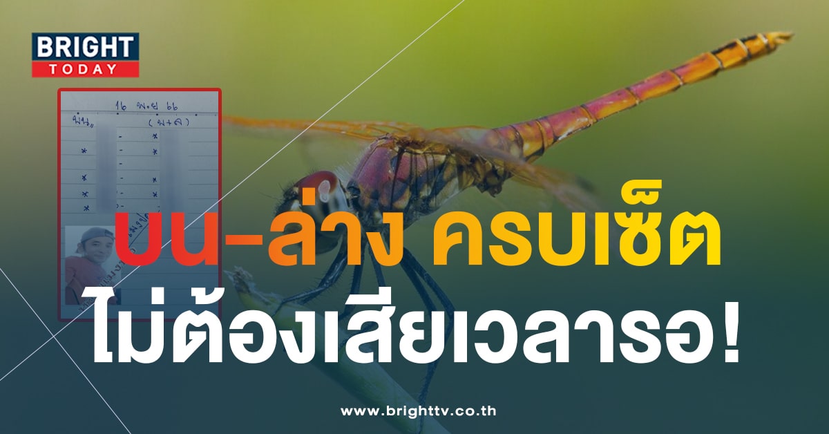 เลขเด็ดงวดนี้ 16 11 66 หวยแมงปอ แจกสะใจ ส่ง 8 - 9 ถล่มเจ้ามือ