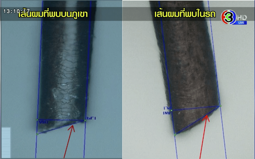 เส้นผม-หลักฐาน (2)-min