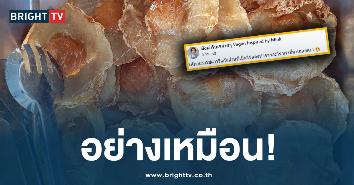 ไข่วีแกน -ปก-min