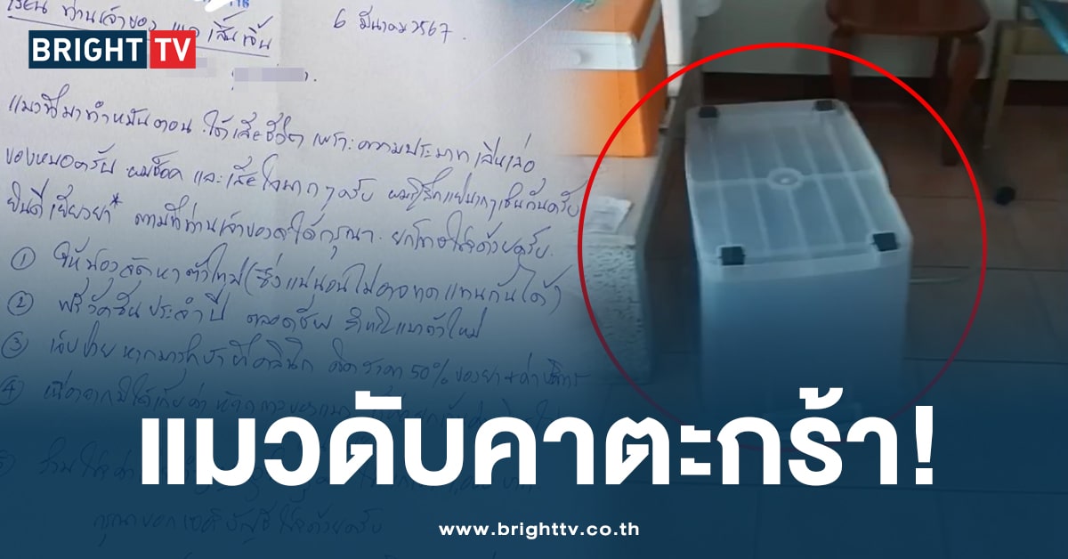 ทาสแมวใจสลาย! คลินิกย่านพุทธมณฑล ขังแมวจนขาดอากาศหายใจ