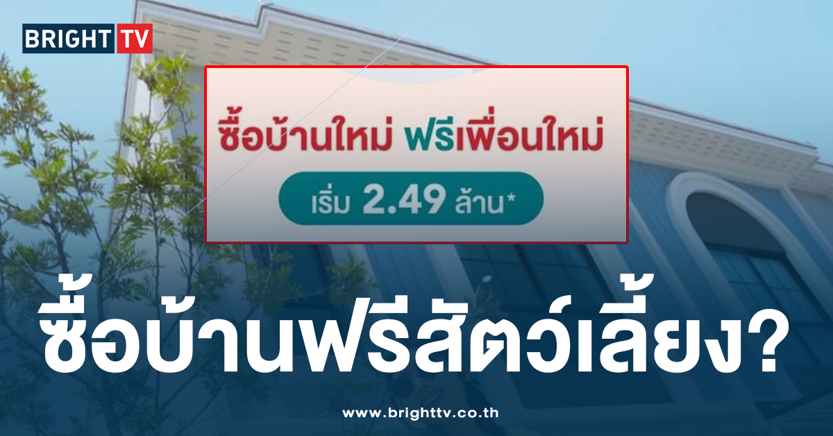 ปก ซื้อบ้านแถมหมาแมว