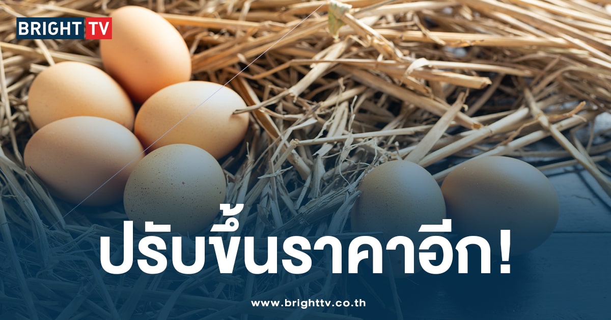 ราคาไข่ไก่-min