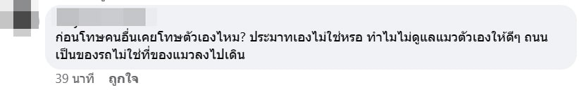 แมวโดนรถชนน-min