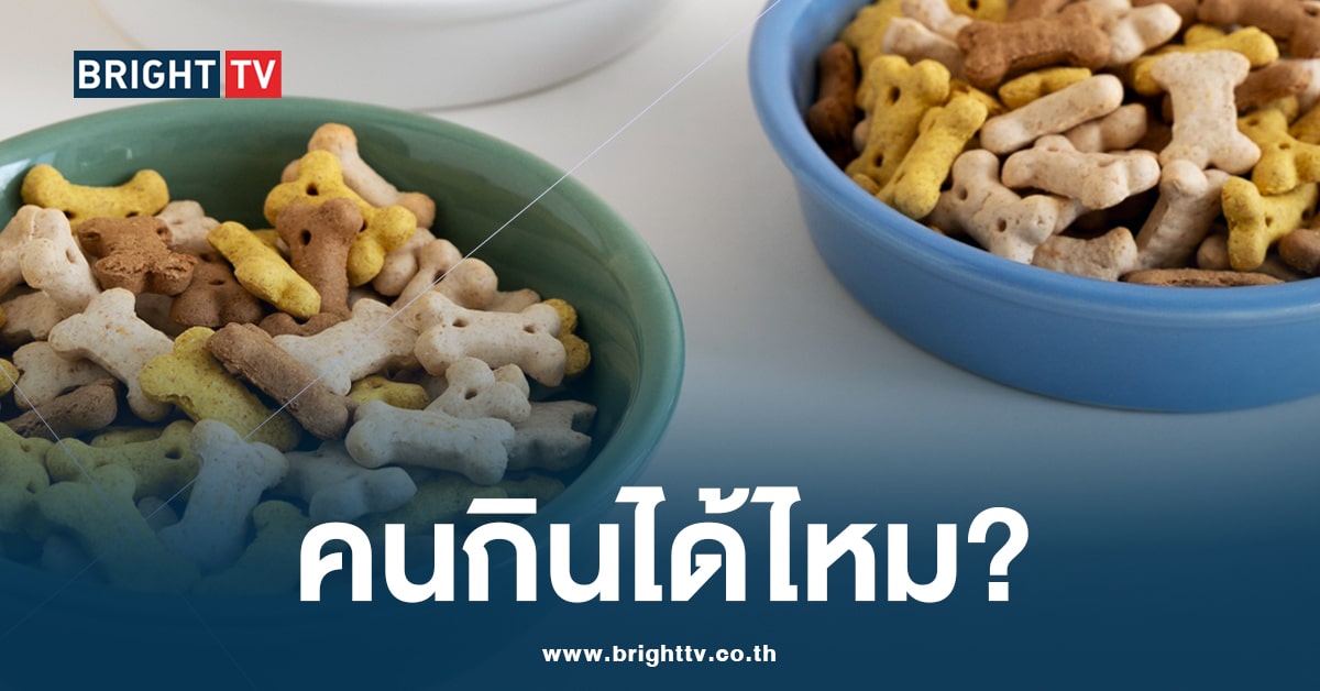 ไขข้อสงสัย? คนสามารถกินอาหารหมา – แมว ได้หรือไม่!?