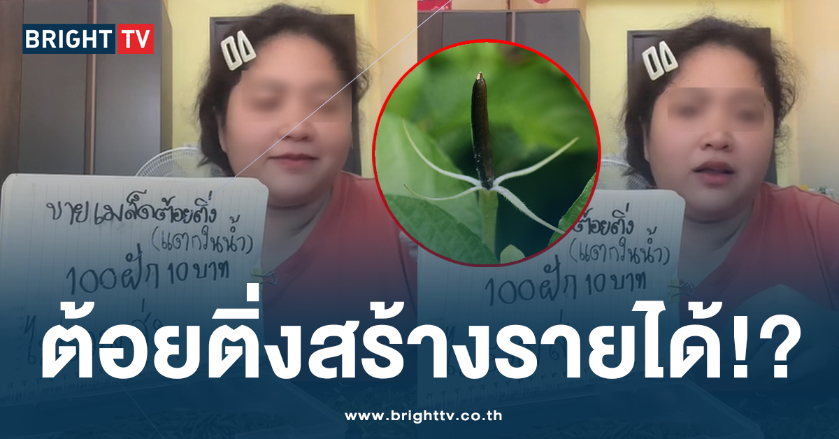 ธุรกิจออนไลน์ มิติใหม่ สาวขาย ต้อยติ่ง 100 ฝัก 10 บาท