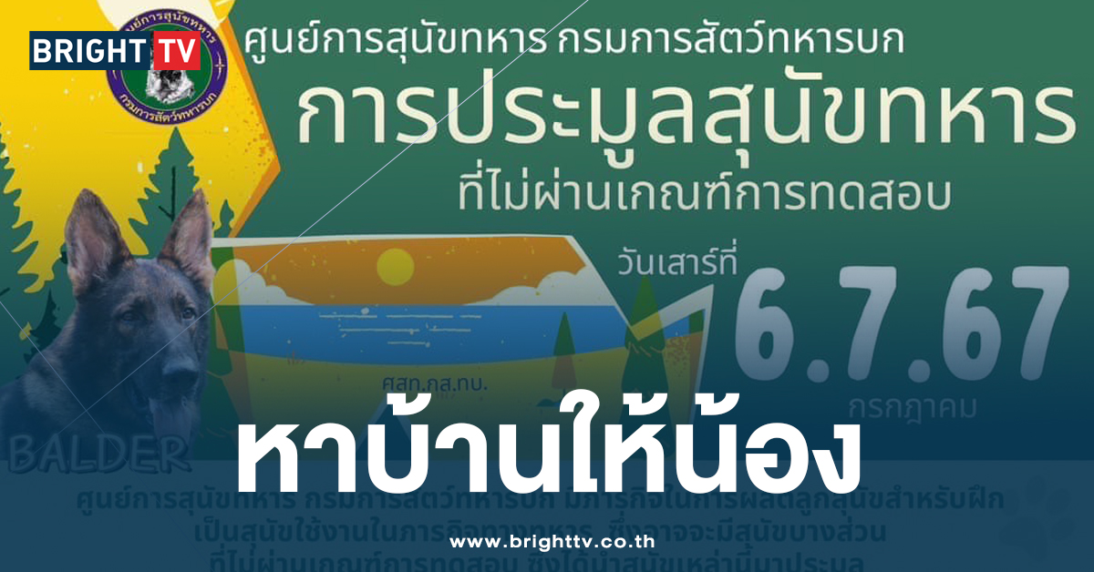 ศูนย์การสุนัขทหาร กรมการสัตว์ทหารบก เปิดประมูล สุนัข ไม่ผ่านเกณฑ์