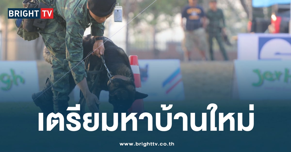 กองทัพบก เตรียมเปิดประมูล สุนัขทหาร ไม่ผ่านเกณฑ์ 3 สายพันธุ์ 6 ก.ค.นี้