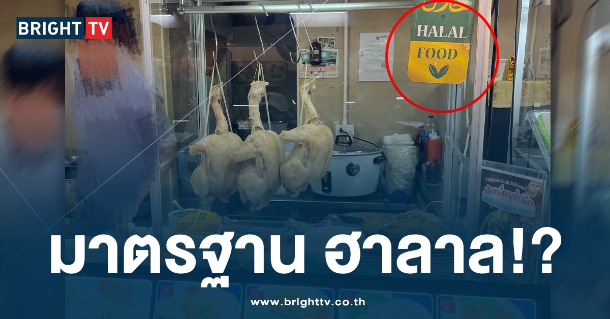 ข้าวมันไก่ ฮาลาล-ปก-min