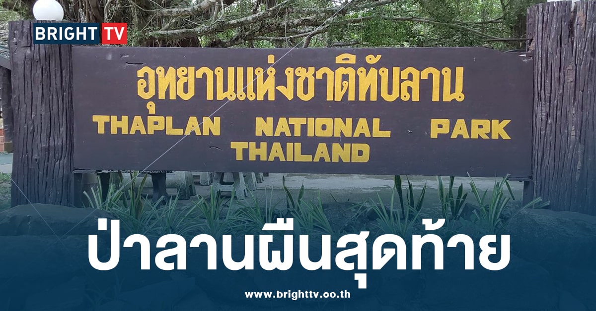 อุทยานแห่งชาติทับลาน มรดกโลกทางธรรมชาติ และป่าลานแห่งสุดท้ายของไทย