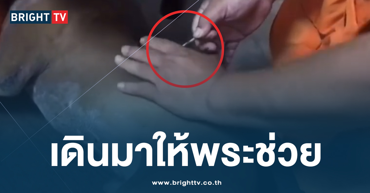 คนใจบาป เอาตะปูคอนกรีตยิงปักคาหลังหมาจร โชคดีได้พระครูวัดดังช่วย!