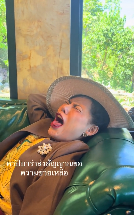 น้องหญิง2