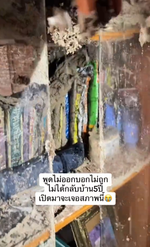 ปลวก