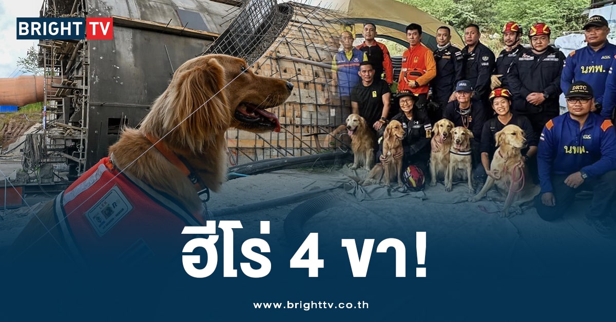 ชาวเน็ตทั่วโลกชื่นชม ทีมน้องหมา K9 หลังเหตุการณ์ อุโมงค์ถล่มโคราช