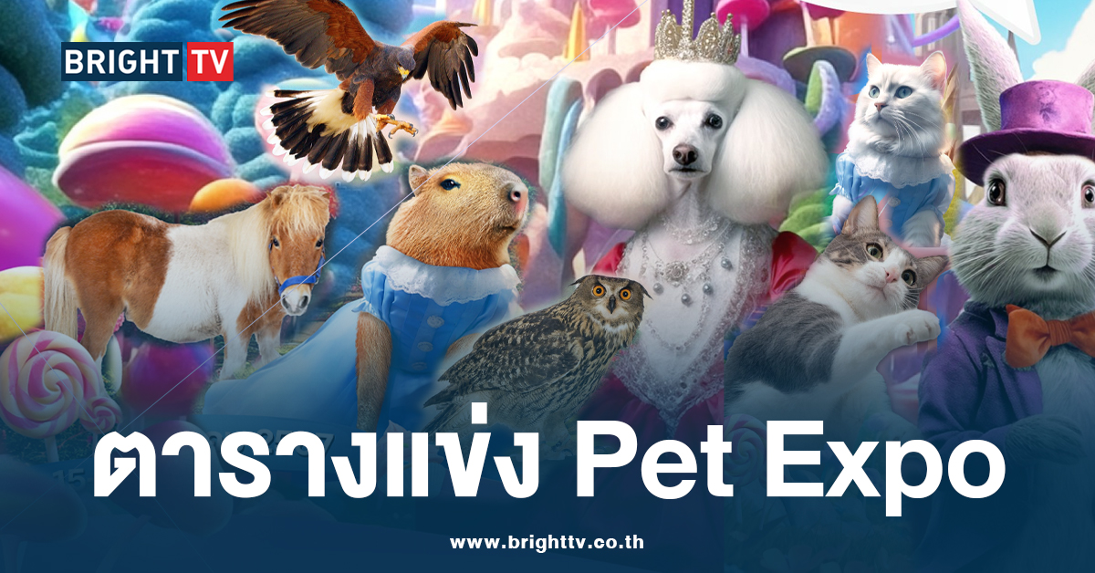 pet expo 2024 ตารางกิจกรรม