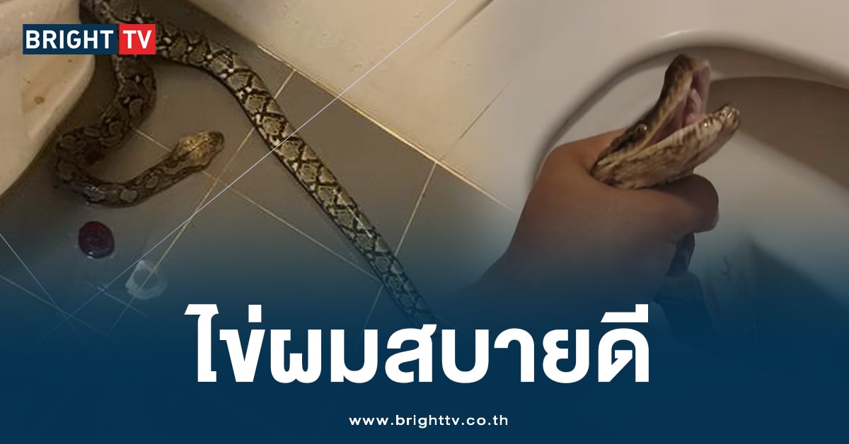 หนุ่มช็อก! โพสต์ ‘เตือนภัยหน้าฝน’ หลังโดนงูชก จนเกือบเสียไข่