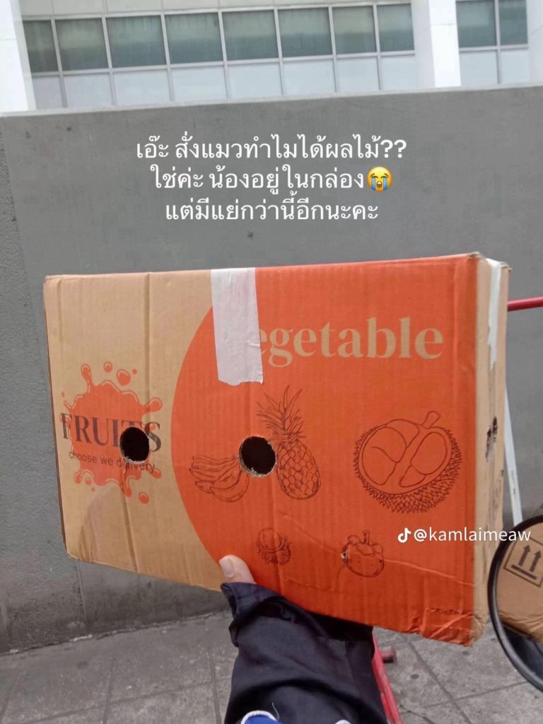 ซื้อลูกแมว-ใน-Tiktok-4-min