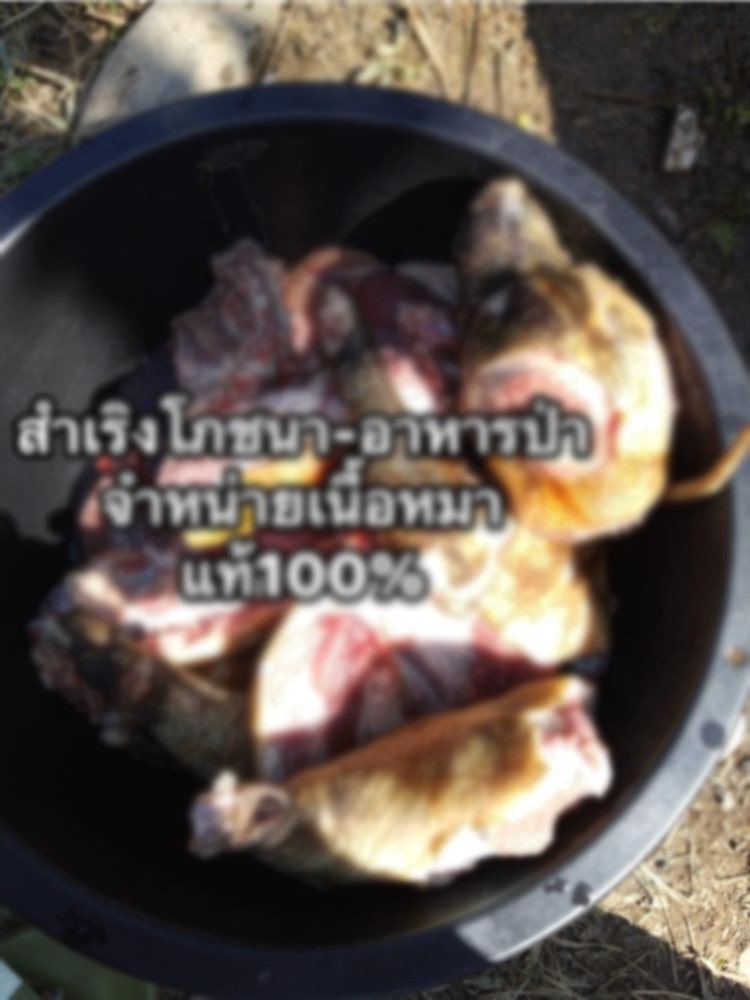 สกลกินหมา (1)-min (1)