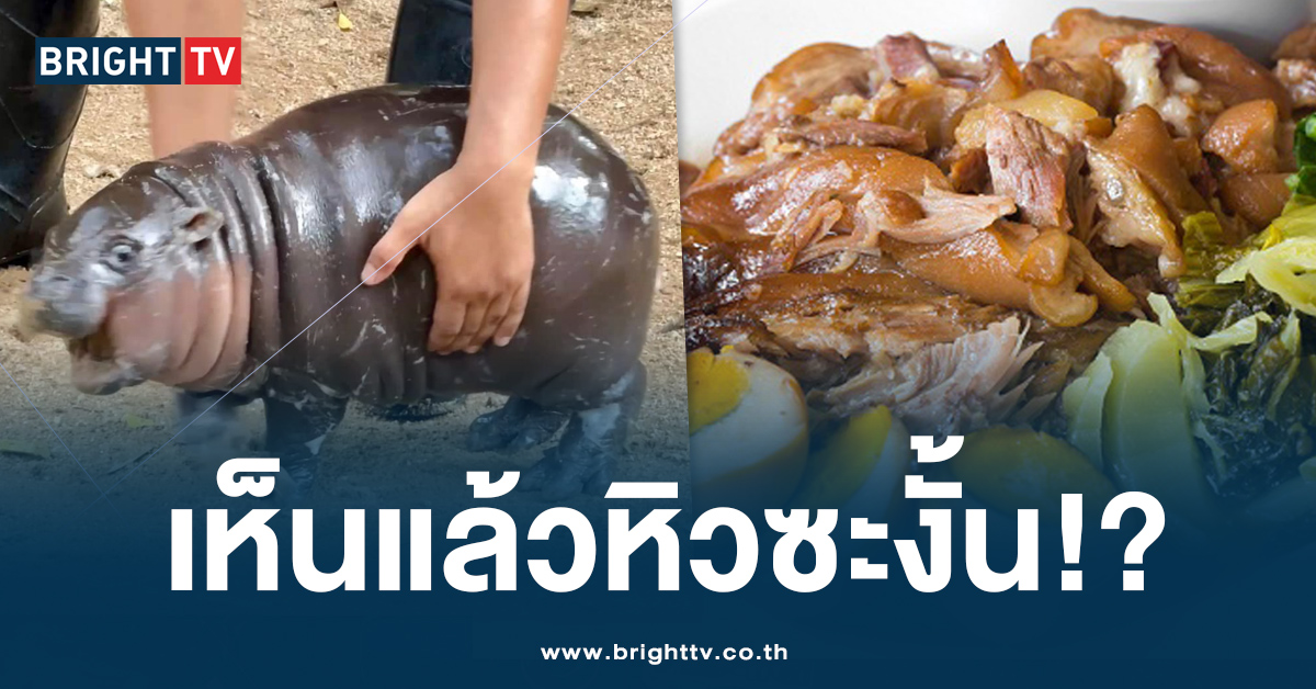 หมูเด้งขาหมู