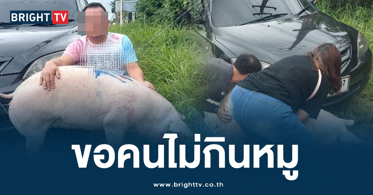 ไถชีวิตหมู (1)-min